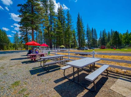 7735 Highway 89, Graeagle, CA 96103 Photo