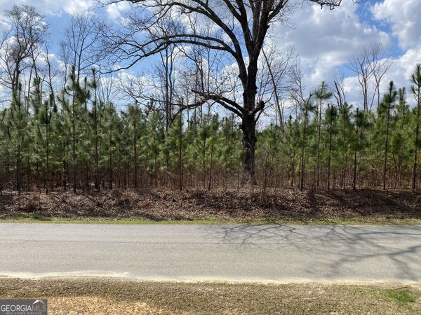 0 PARCEL 3 Baker Road, Waverly Hall, GA 31831