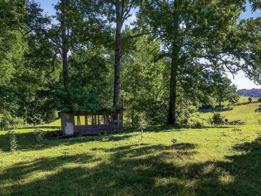 Property Image 60