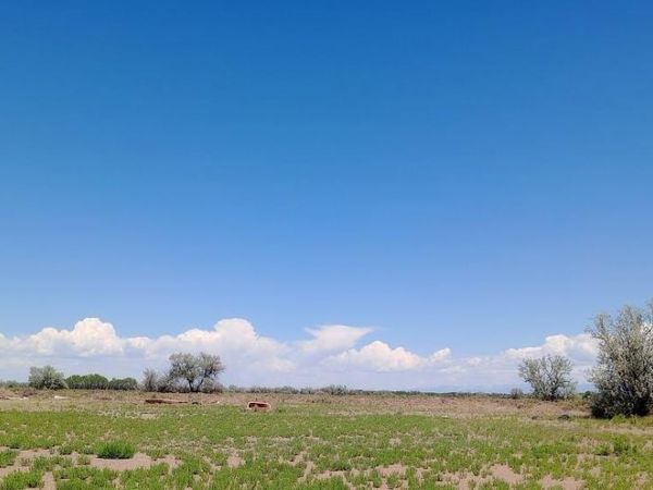 5803 Produce Place , Alamosa, CO 81101