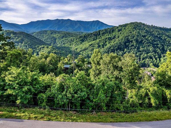 Lot 0002 Ellis Ogle Road, Gatlinburg, TN 37738