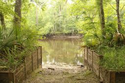 5451 Wire Road photo 4