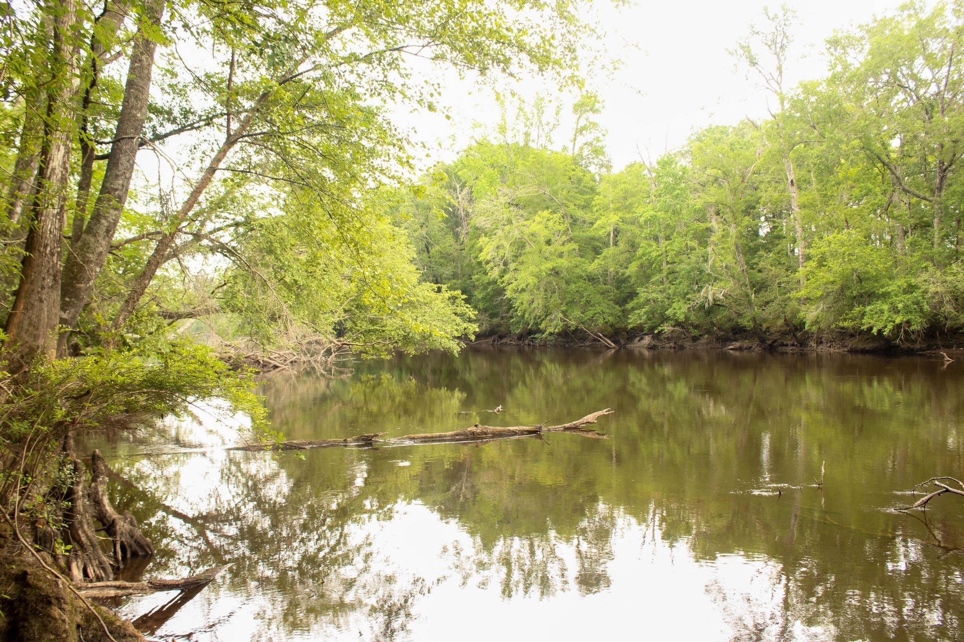 5451 Wire Road Photo 26