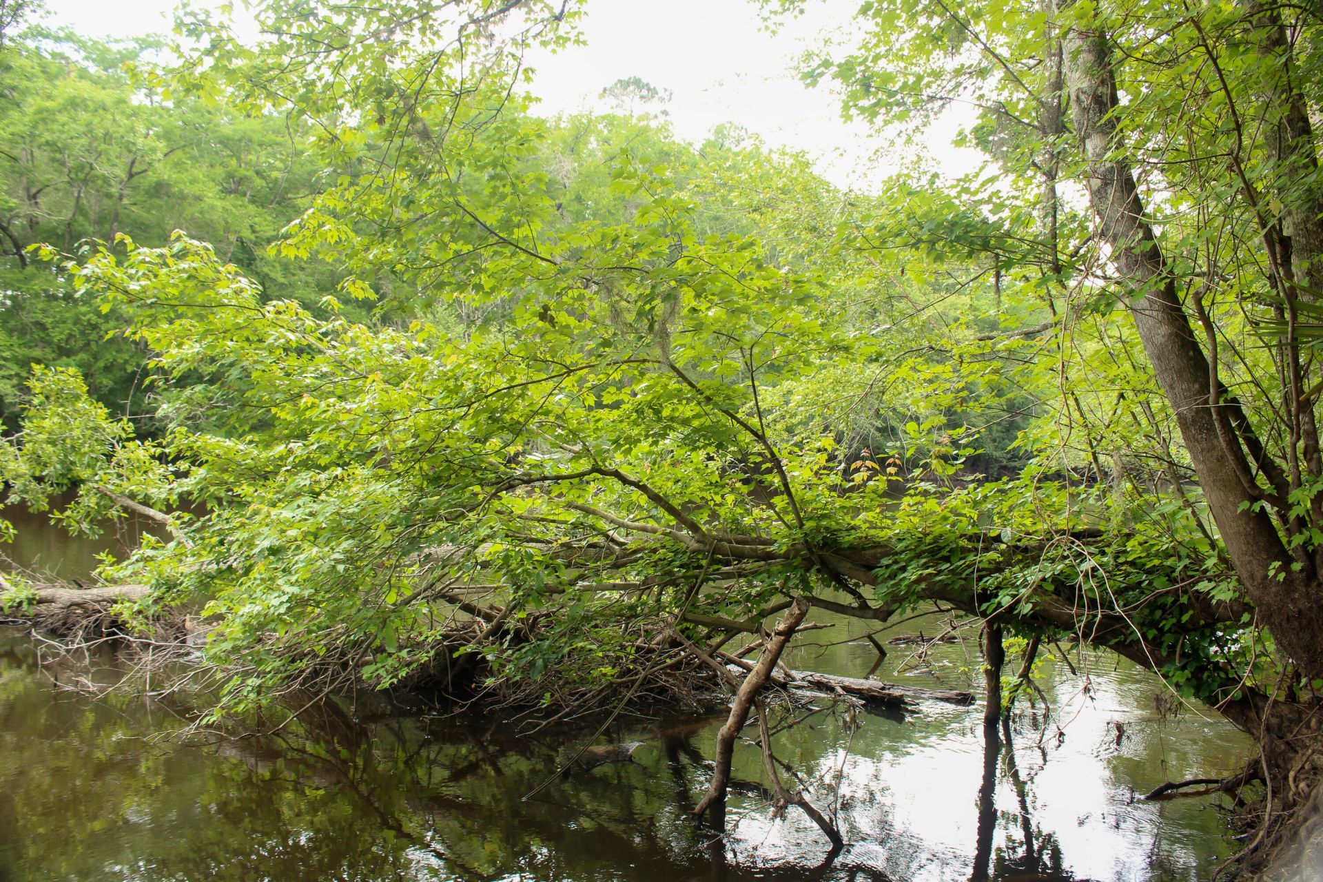 5451 Wire Road Photo 27