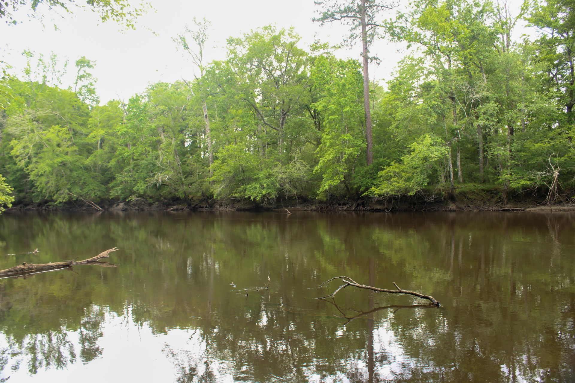 5451 Wire Road Photo 28
