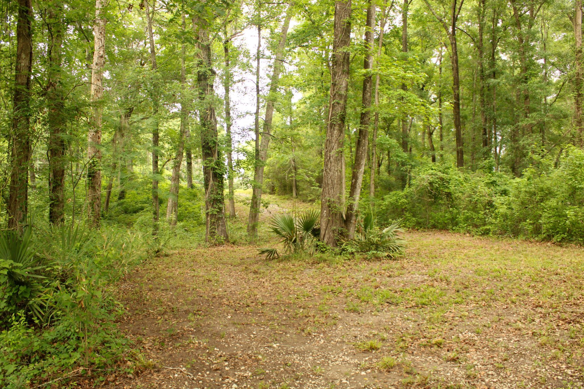 5451 Wire Road Photo 29
