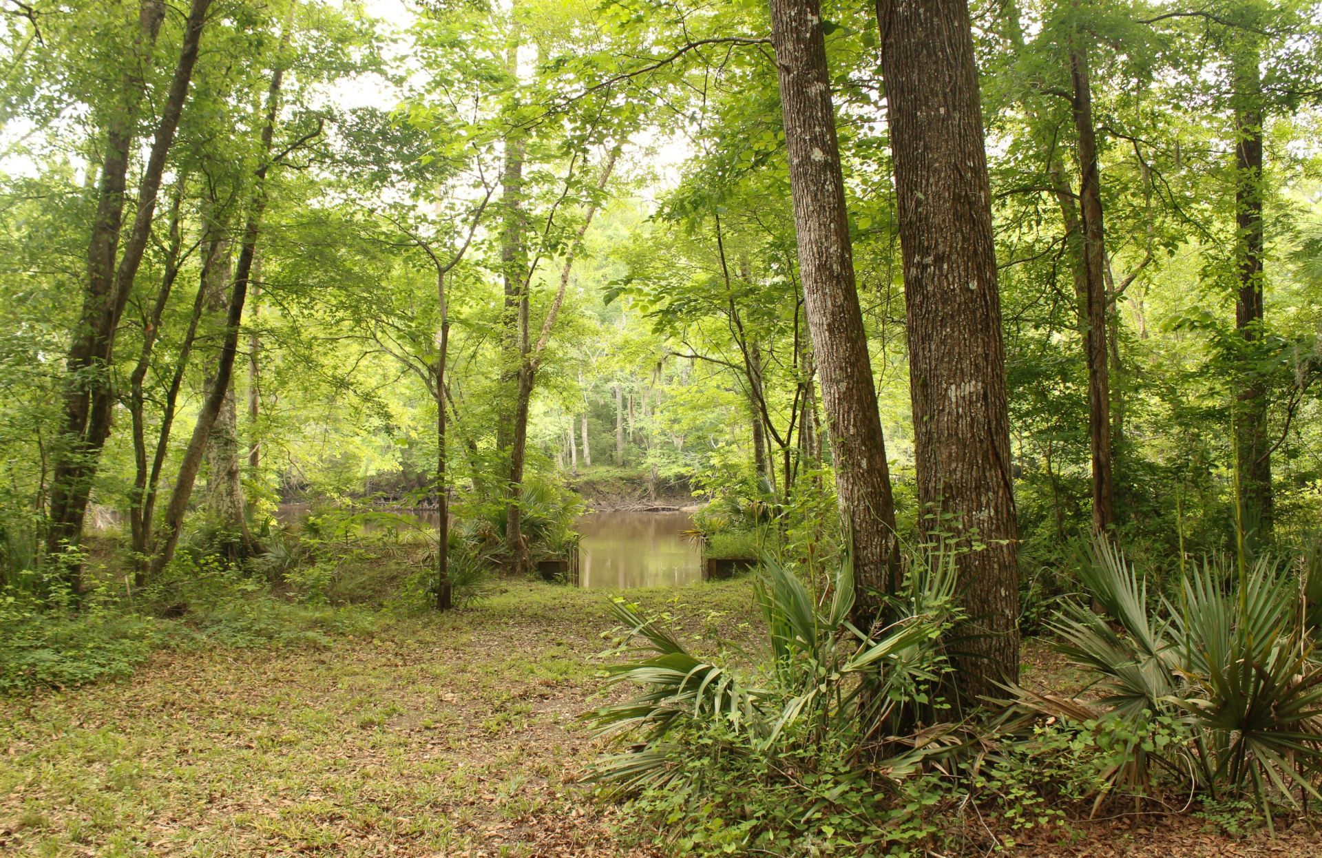 5451 Wire Road Photo 31