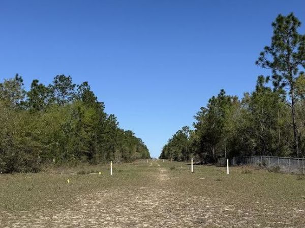 0 MULBERRY Street, Interlachen, FL 32148