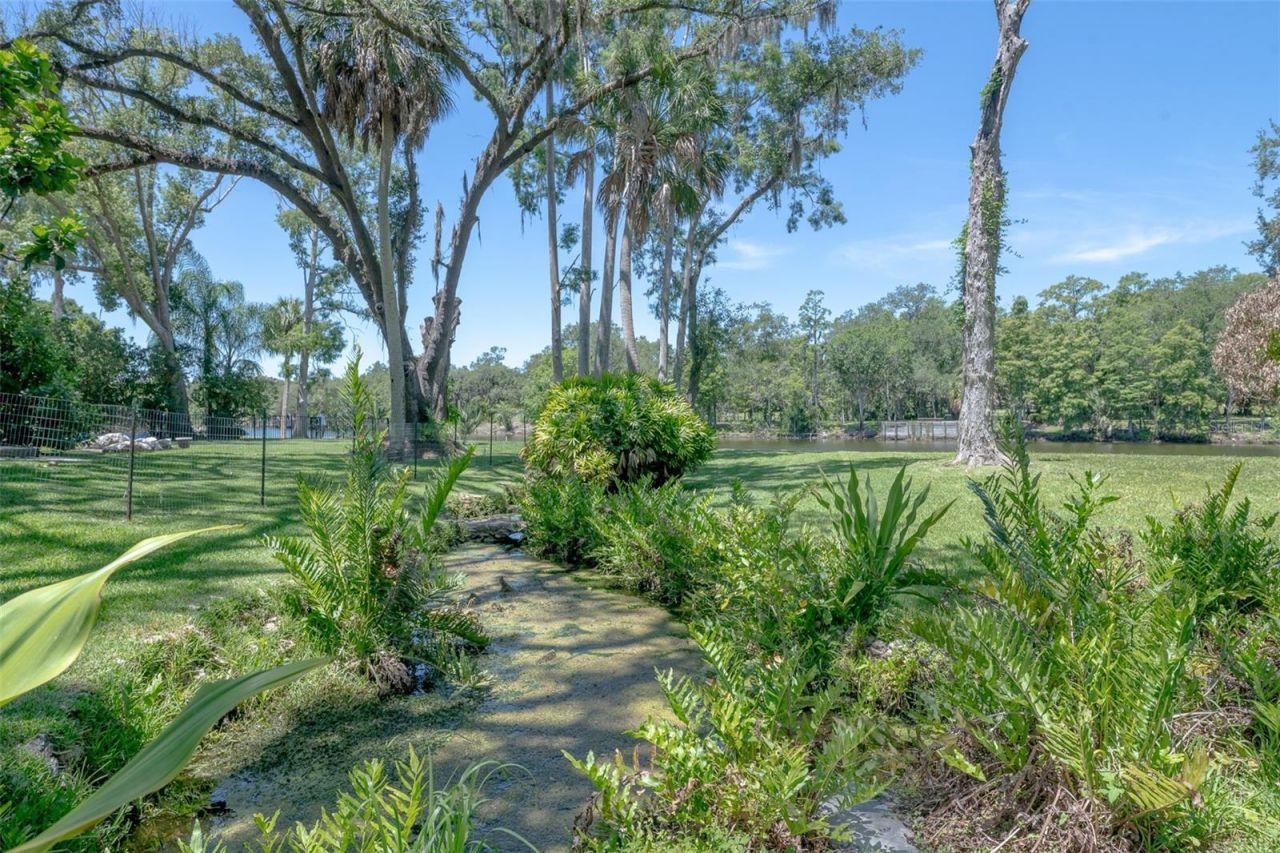 7308 N Ola Avenue, Tampa, FL 33604 Photo