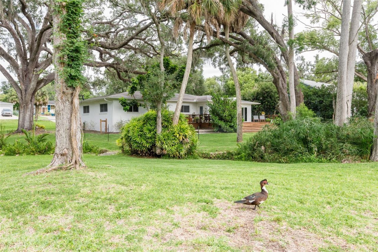 7308 N Ola Avenue, Tampa, FL 33604 Photo