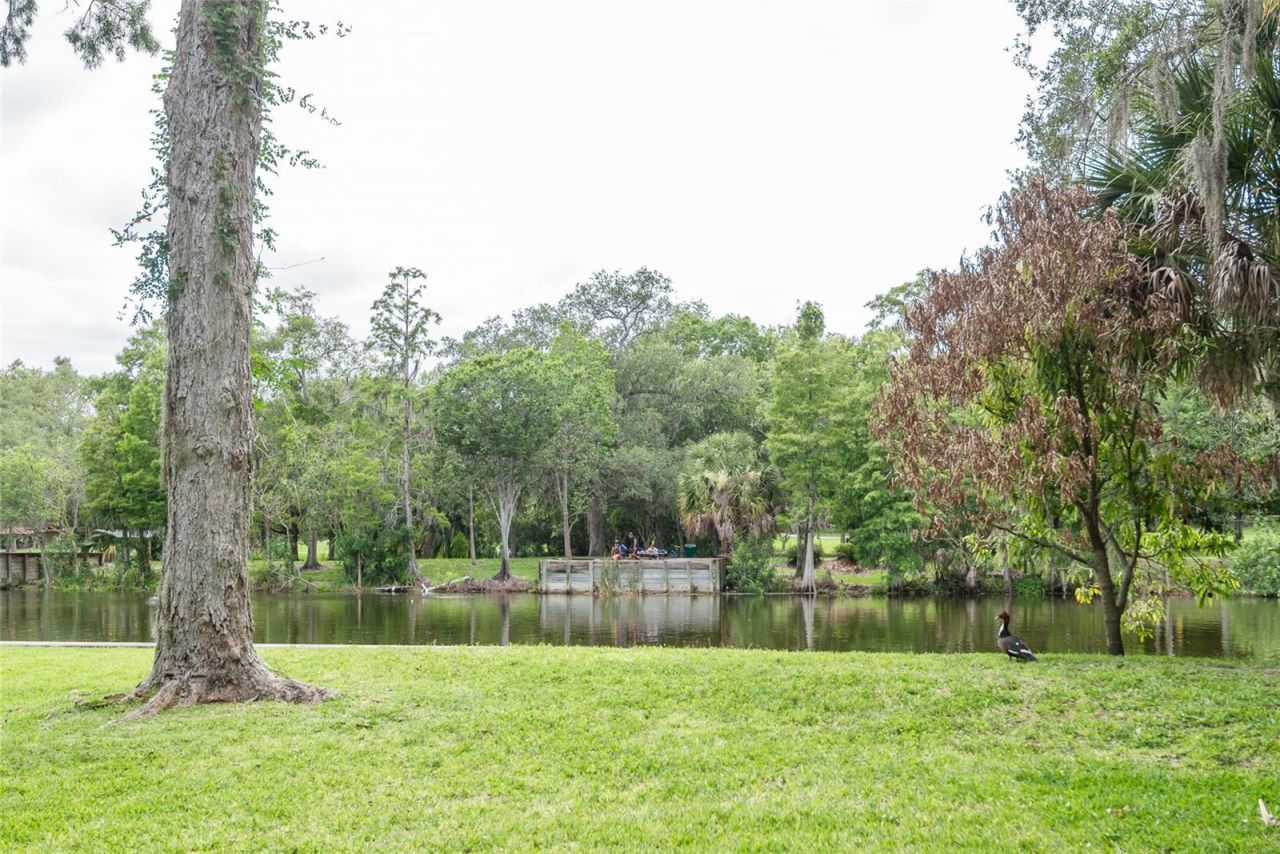 7308 N Ola Avenue, Tampa, FL 33604 Photo