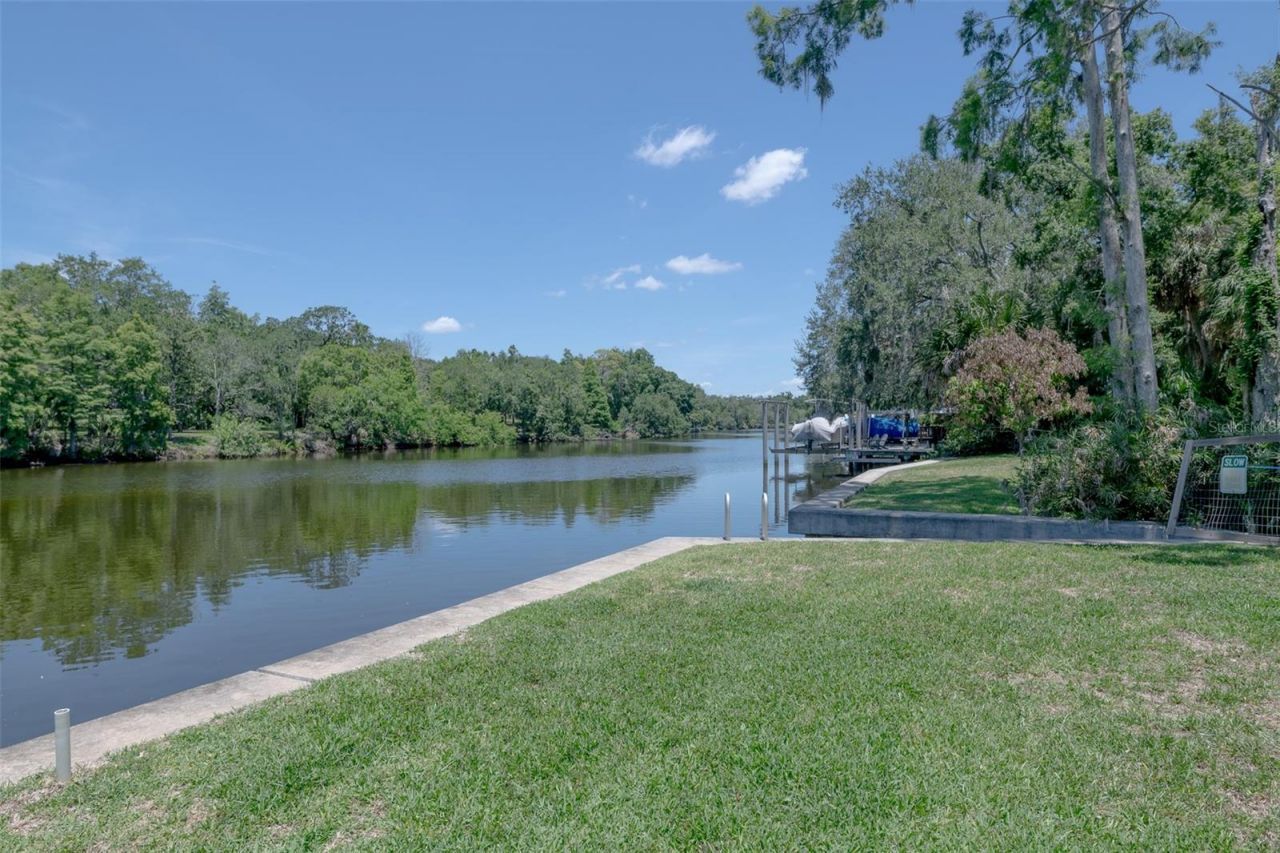 7308 N Ola Avenue, Tampa, FL 33604 Photo
