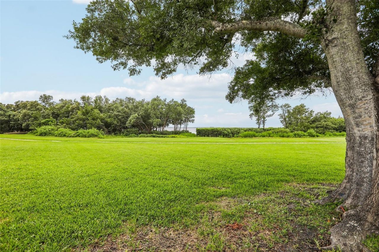 610 Indiana Avenue , Crystal Beach, FL 34681 Photo