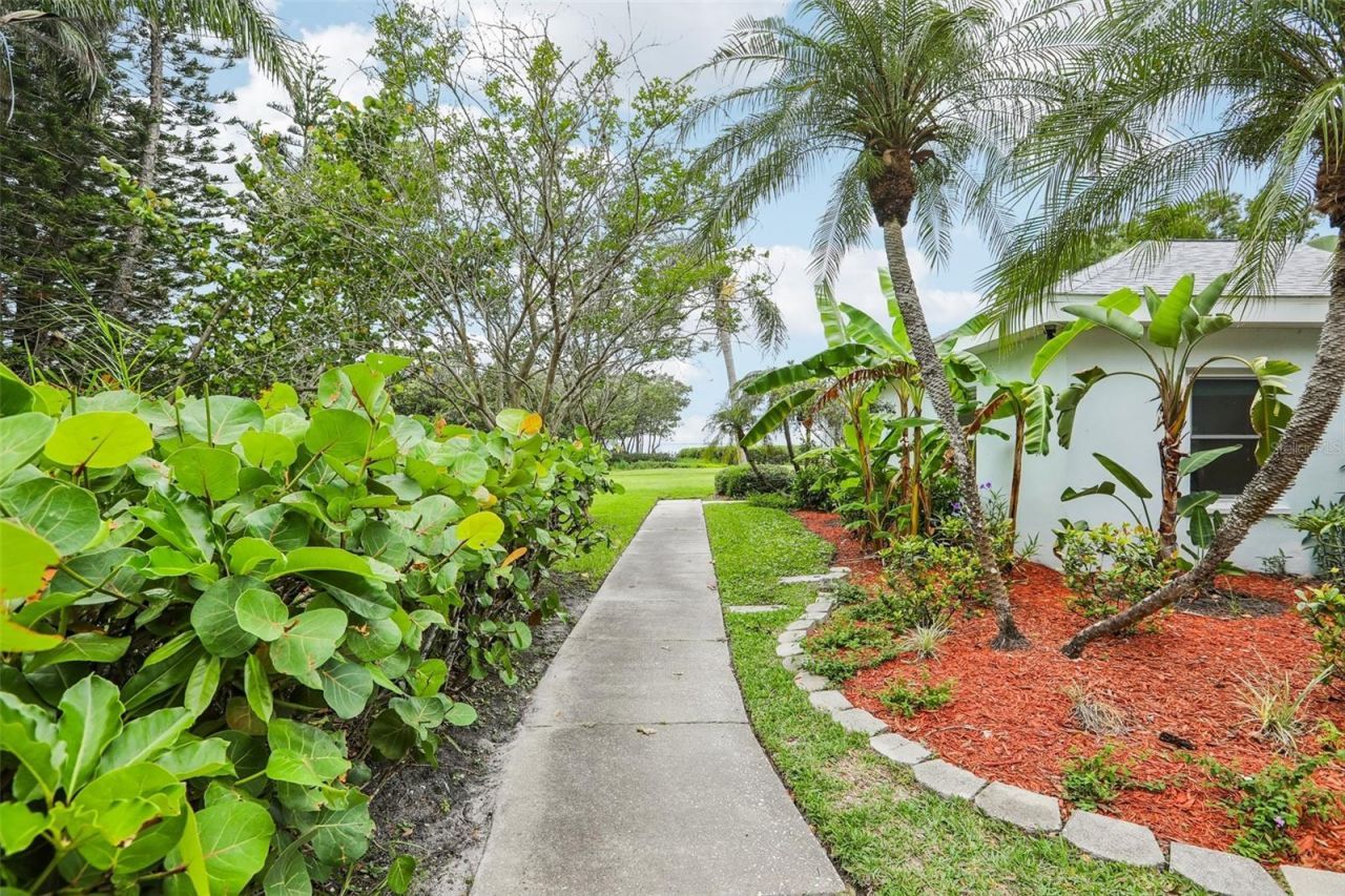 610 Indiana Avenue , Crystal Beach, FL 34681 Photo