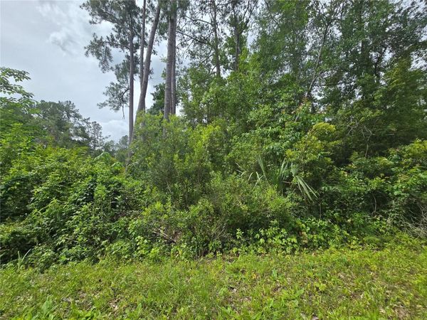 320 SEQUOIA DRIVE , OCALA, FL 34472