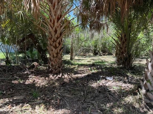 110 OAK STREET , FLAGLER BEACH, FL 32136