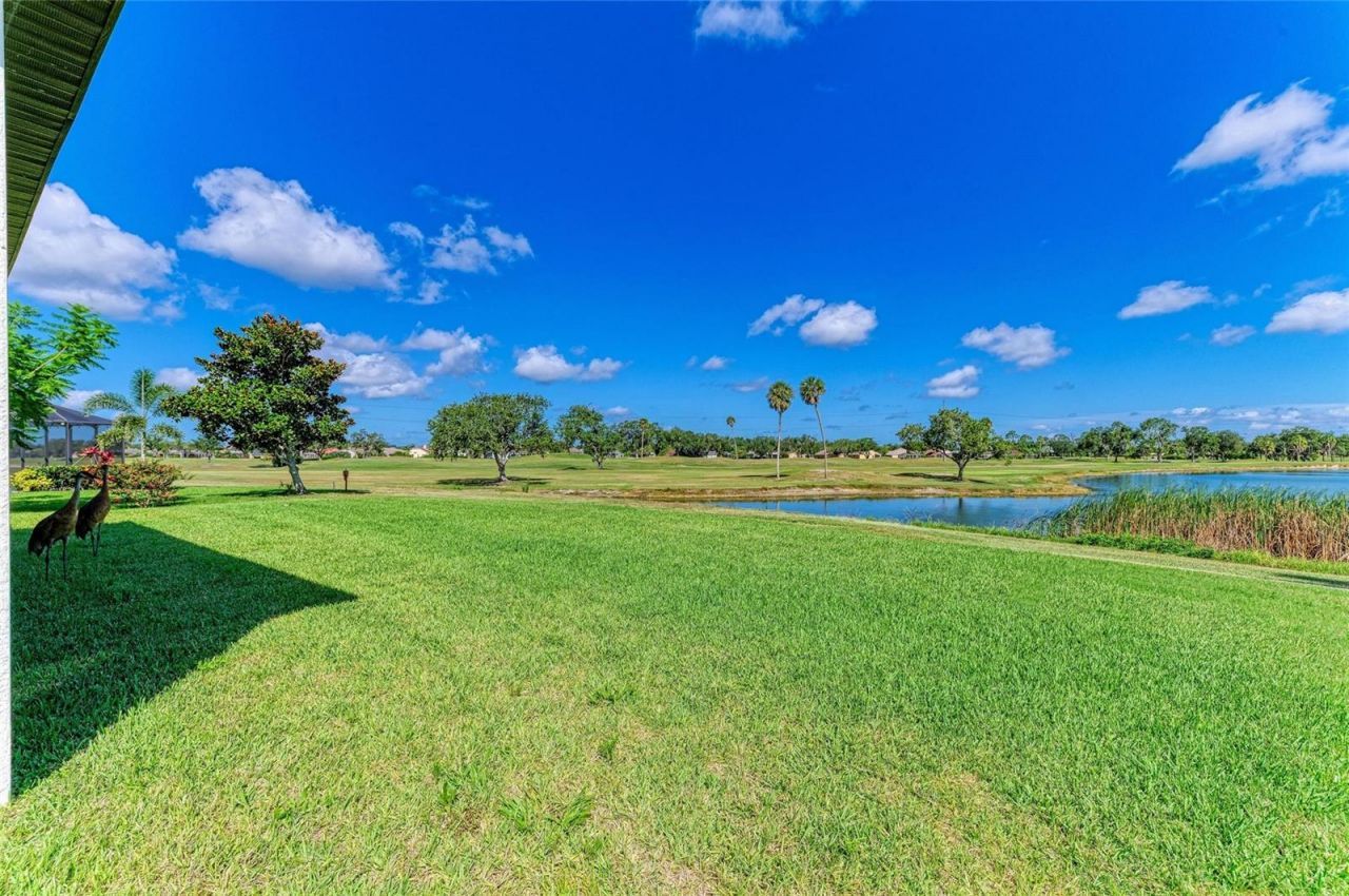 9225 Raes Creek Place, Palmetto, FL 34221 Photo