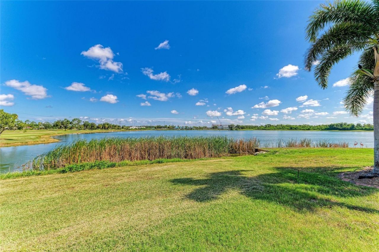 9225 Raes Creek Place, Palmetto, FL 34221 Photo