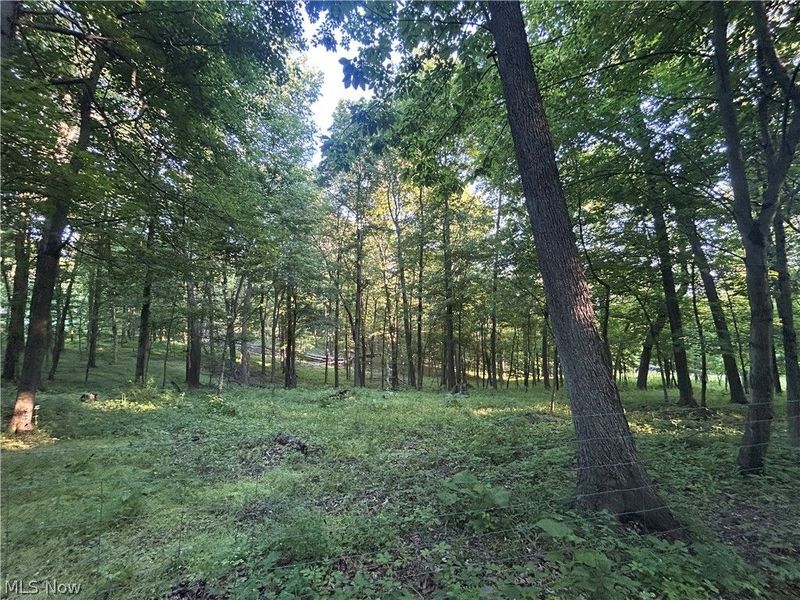 12929 Pleasant Valley Road, Utica, OH 43080 Photo 27