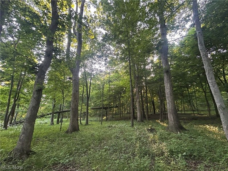 12929 Pleasant Valley Road, Utica, OH 43080 Photo 29