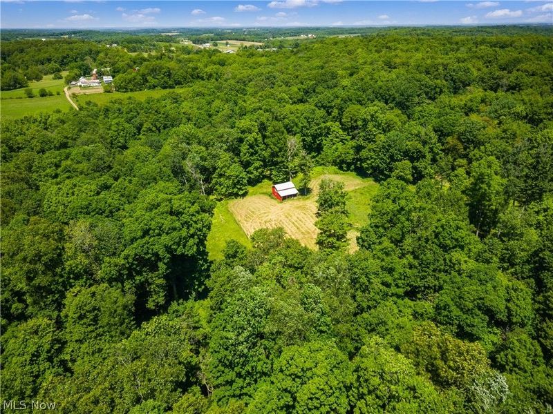 12929 Pleasant Valley Road, Utica, OH 43080 Photo 3
