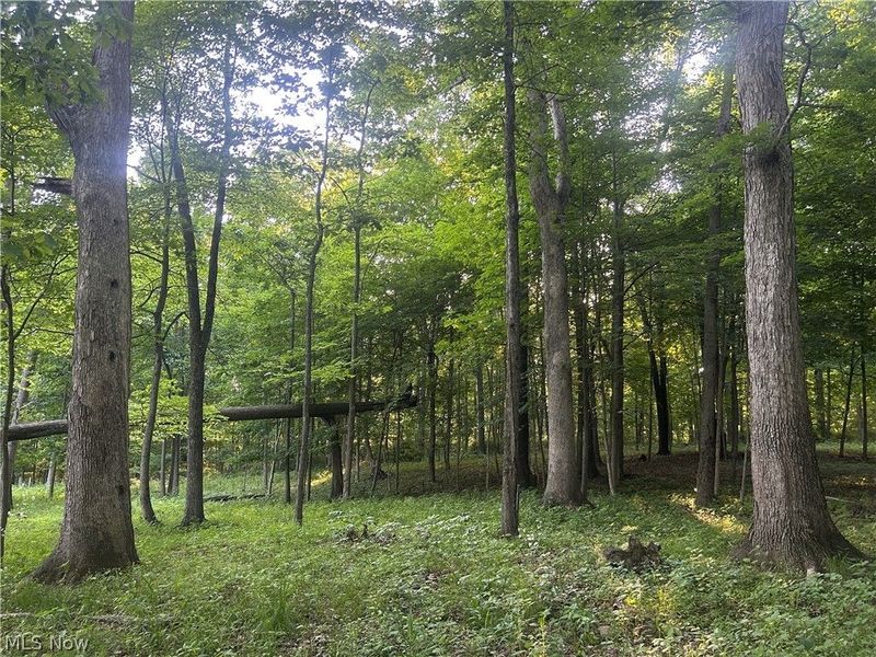 12929 Pleasant Valley Road, Utica, OH 43080 Photo 30