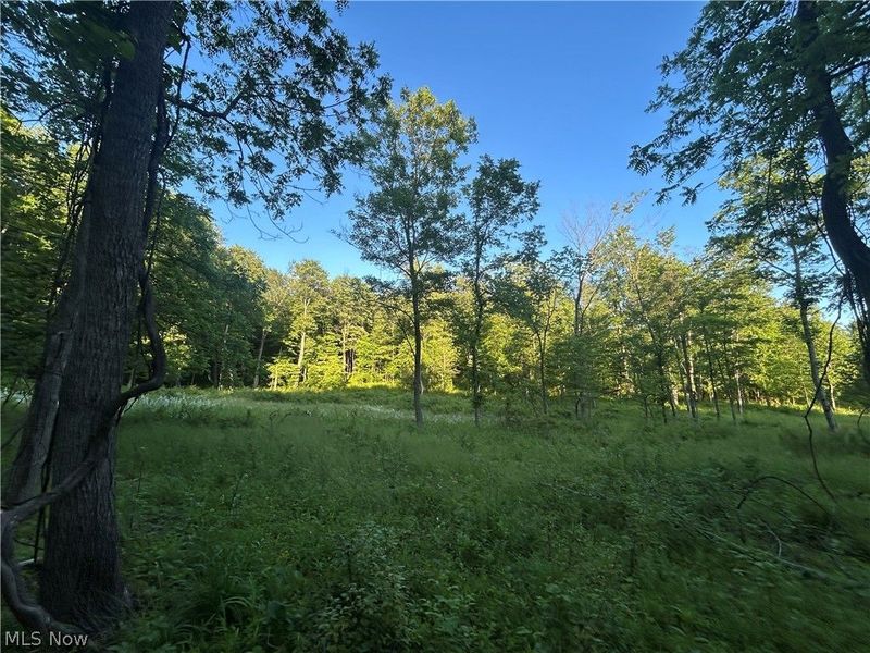 12929 Pleasant Valley Road, Utica, OH 43080 Photo 31