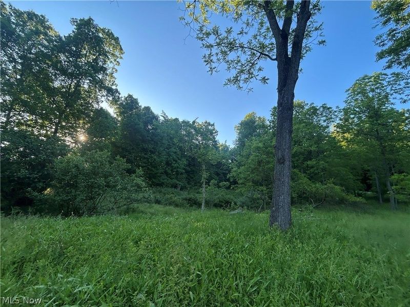12929 Pleasant Valley Road, Utica, OH 43080 Photo 32
