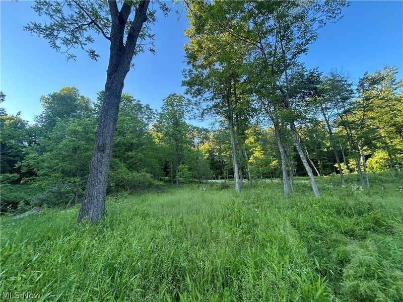 12929 Pleasant Valley Road, Utica, OH 43080 Photo 33