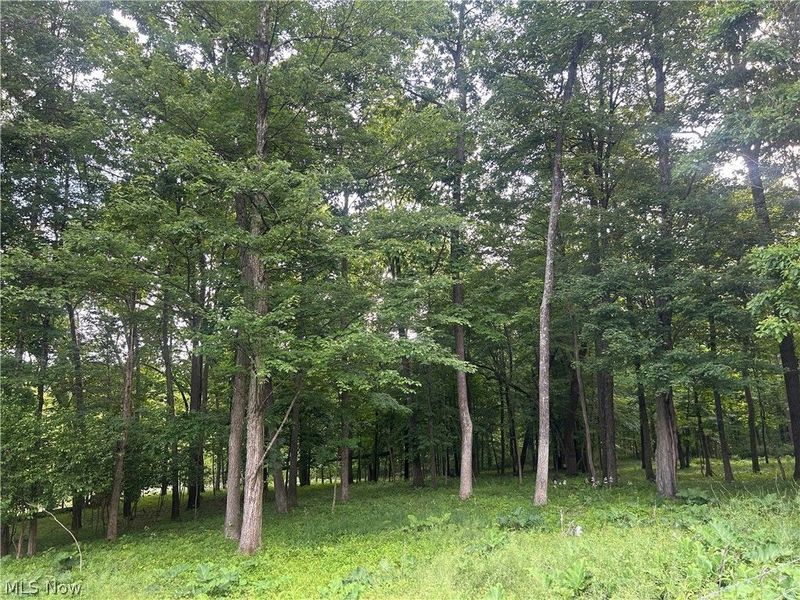 12929 Pleasant Valley Road, Utica, OH 43080 Photo 41