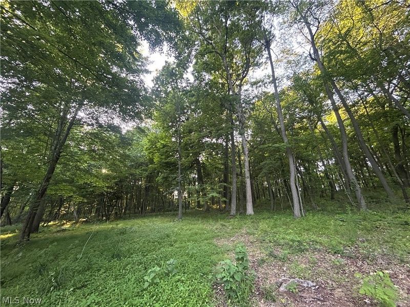 12929 Pleasant Valley Road, Utica, OH 43080 Photo 42