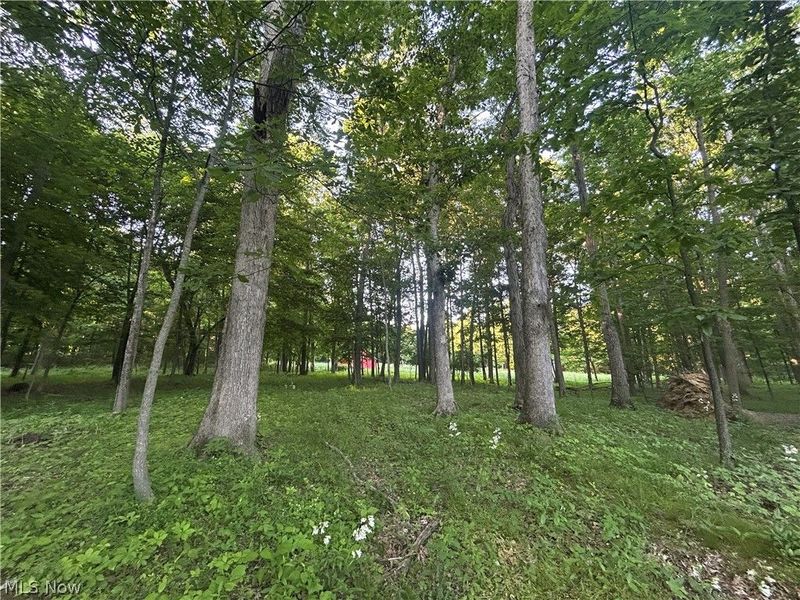 12929 Pleasant Valley Road, Utica, OH 43080 Photo 47