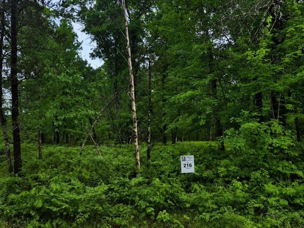 Lot 216 Deerpath Road, Danbury, WI 54830
