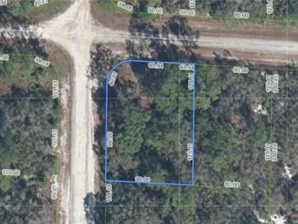 3436 Cliff Swallow ST , LAKE PLACID, FL 33852