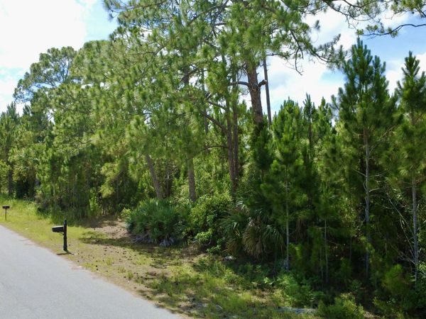 455 SE Dadeville St Street SE, Palm Bay, FL 32909