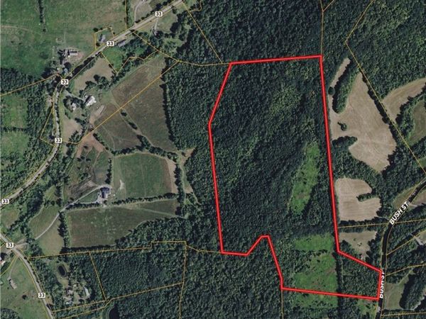 Bush Street , Cobleskill, NY 12043