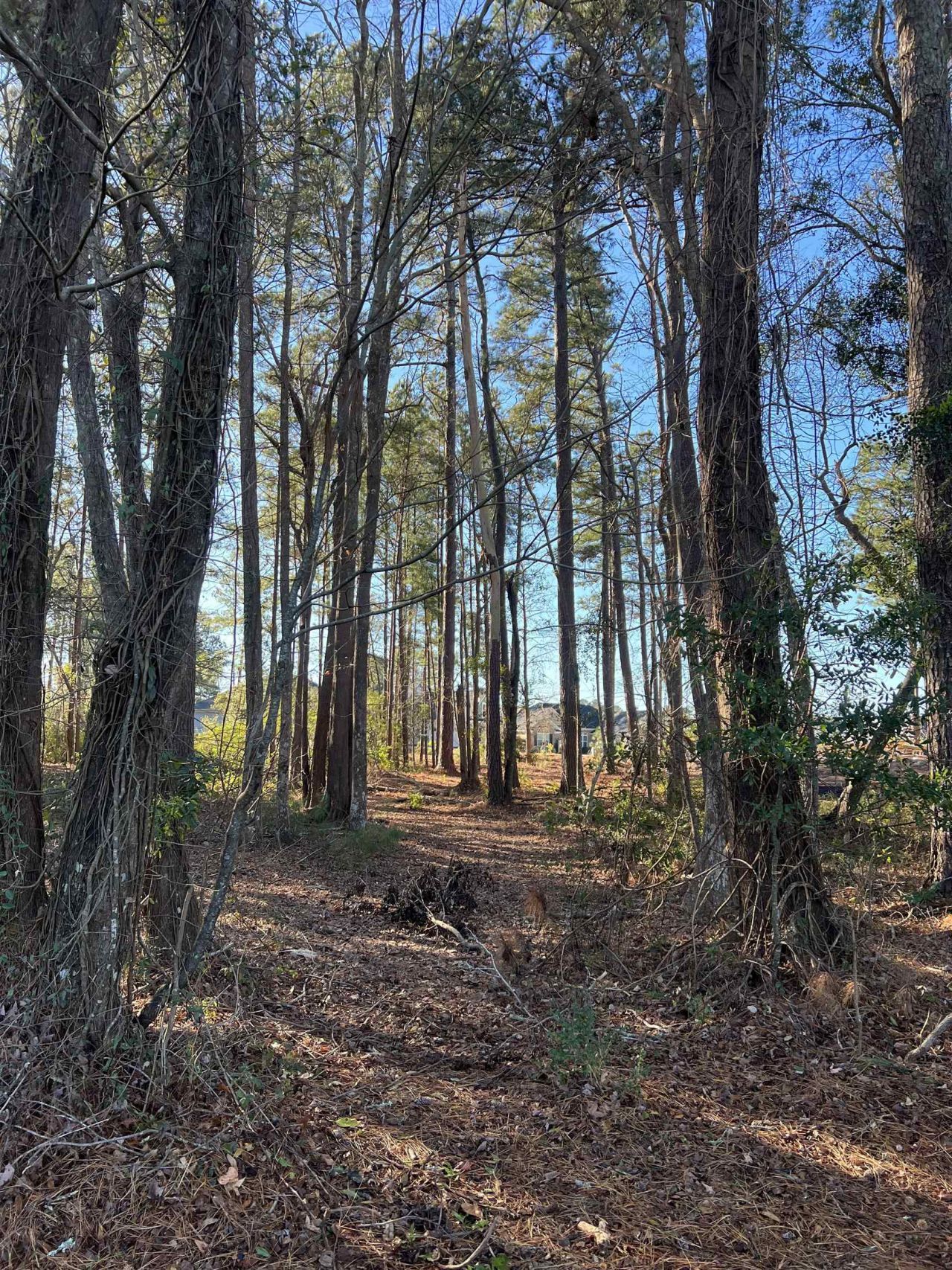 1000 Maccoa Dr.  Photo 10
