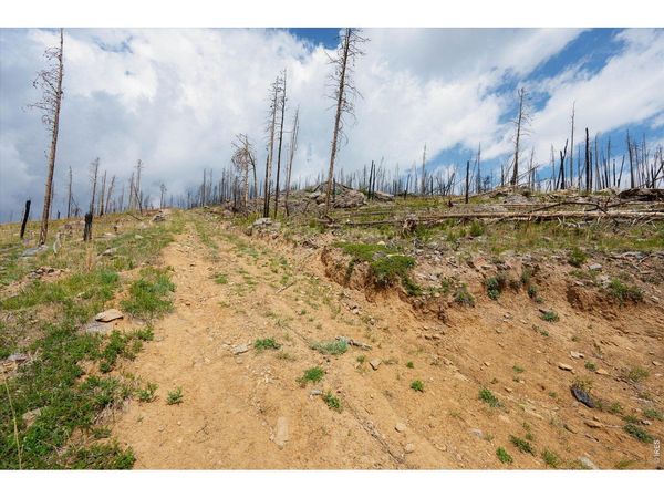 30 Sheep Horn Ct, Bellvue, CO 80512