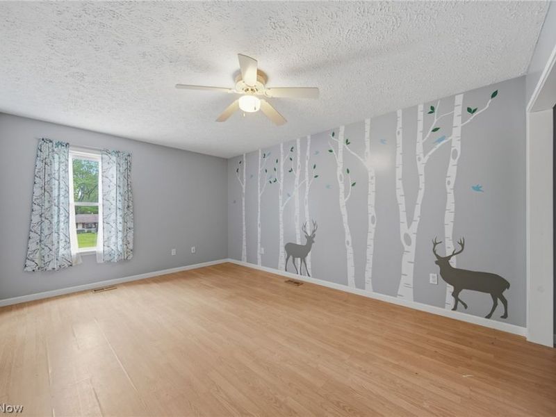 9505 Nita Lane, Streetsboro, OH 44241 Photo 20