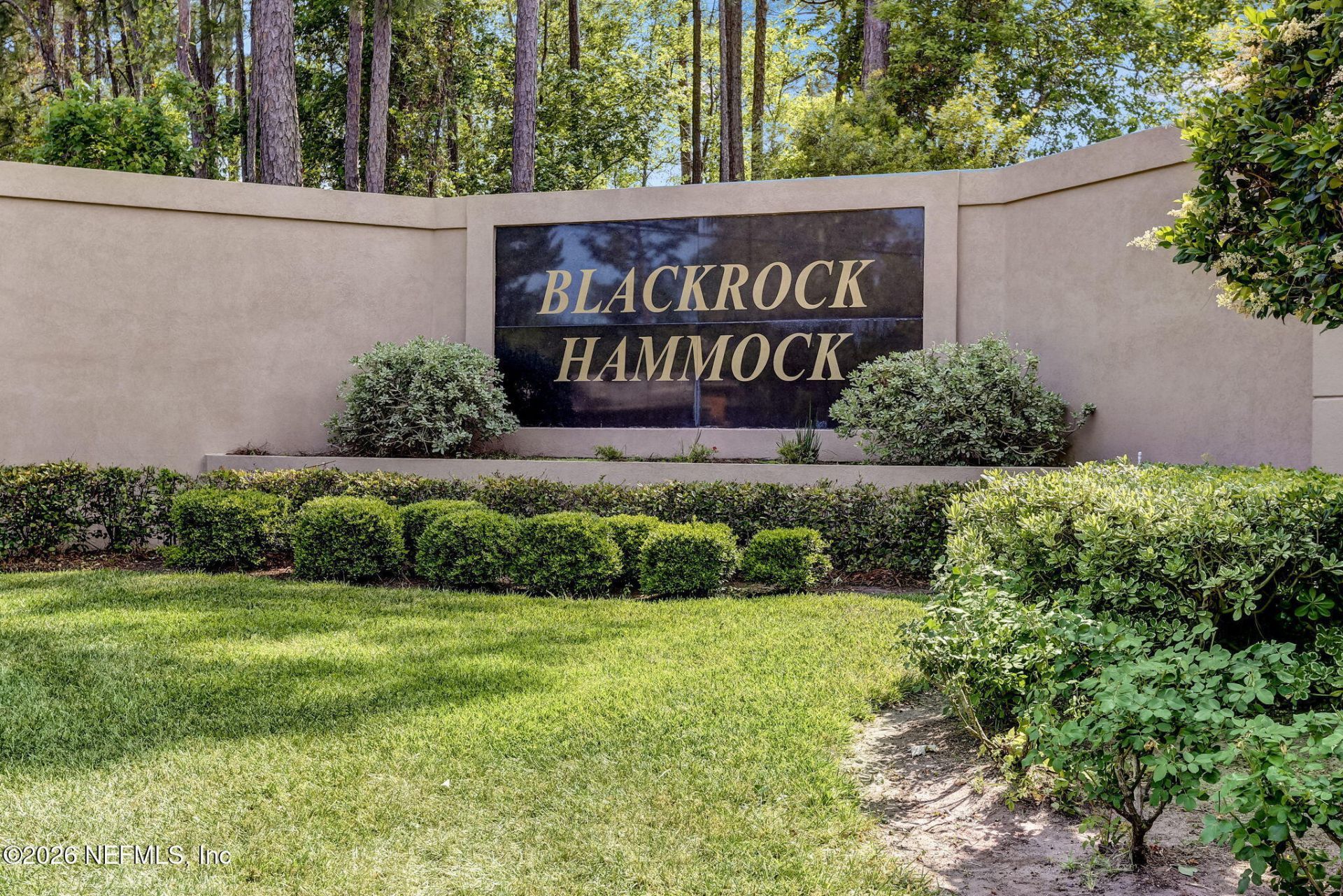 96030 Blackrock Hammock Drive, Yulee, FL 32097 Photo