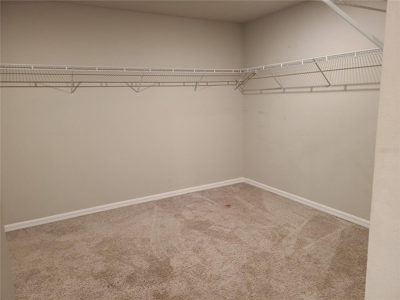 10217 Daybreak Glen, Parrish, FL 34219 Photo