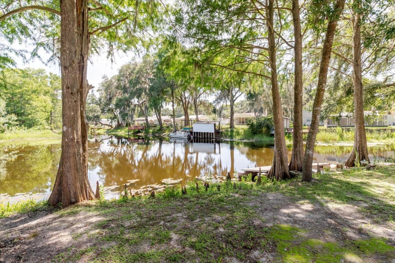 1106 S Otto Point, Inverness, FL 34450 Photo