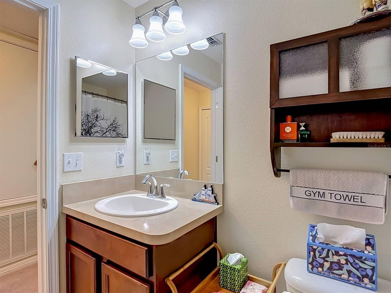 9838 Trumpet Vine Loop , Trinity, FL 34655 Photo
