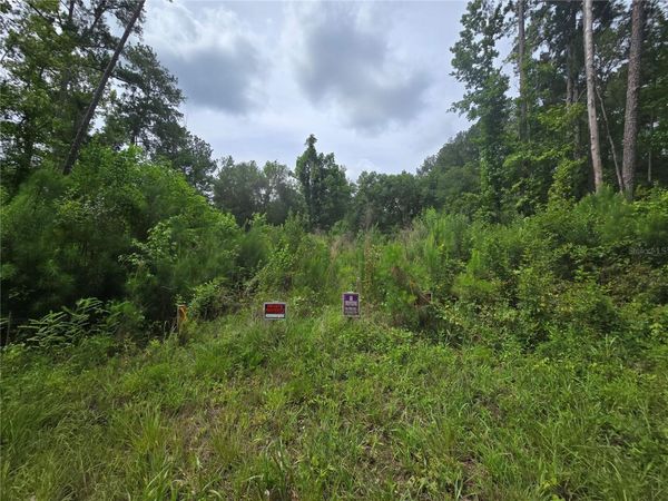 316 SEQUOIA DRIVE, OCKLAWAHA, FL 32179