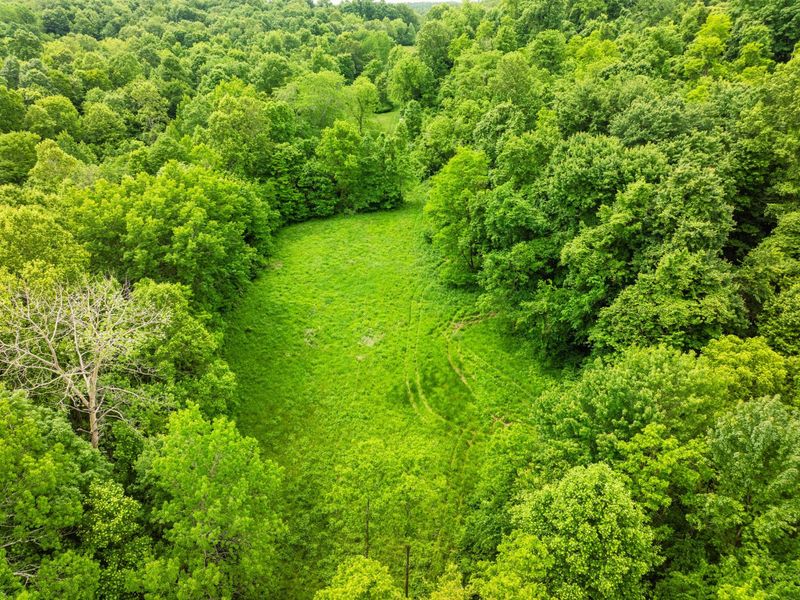 5674 Pleasant Valley Road , Nashport, OH 43830 Photo 46