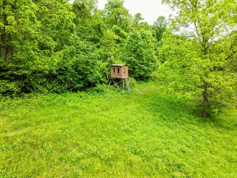 5674 Pleasant Valley Road , Nashport, OH 43830 Photo 47