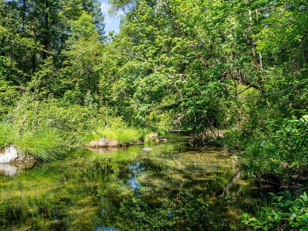 0 Lower Grave Creek Road, Wolf Creek, OR 97497