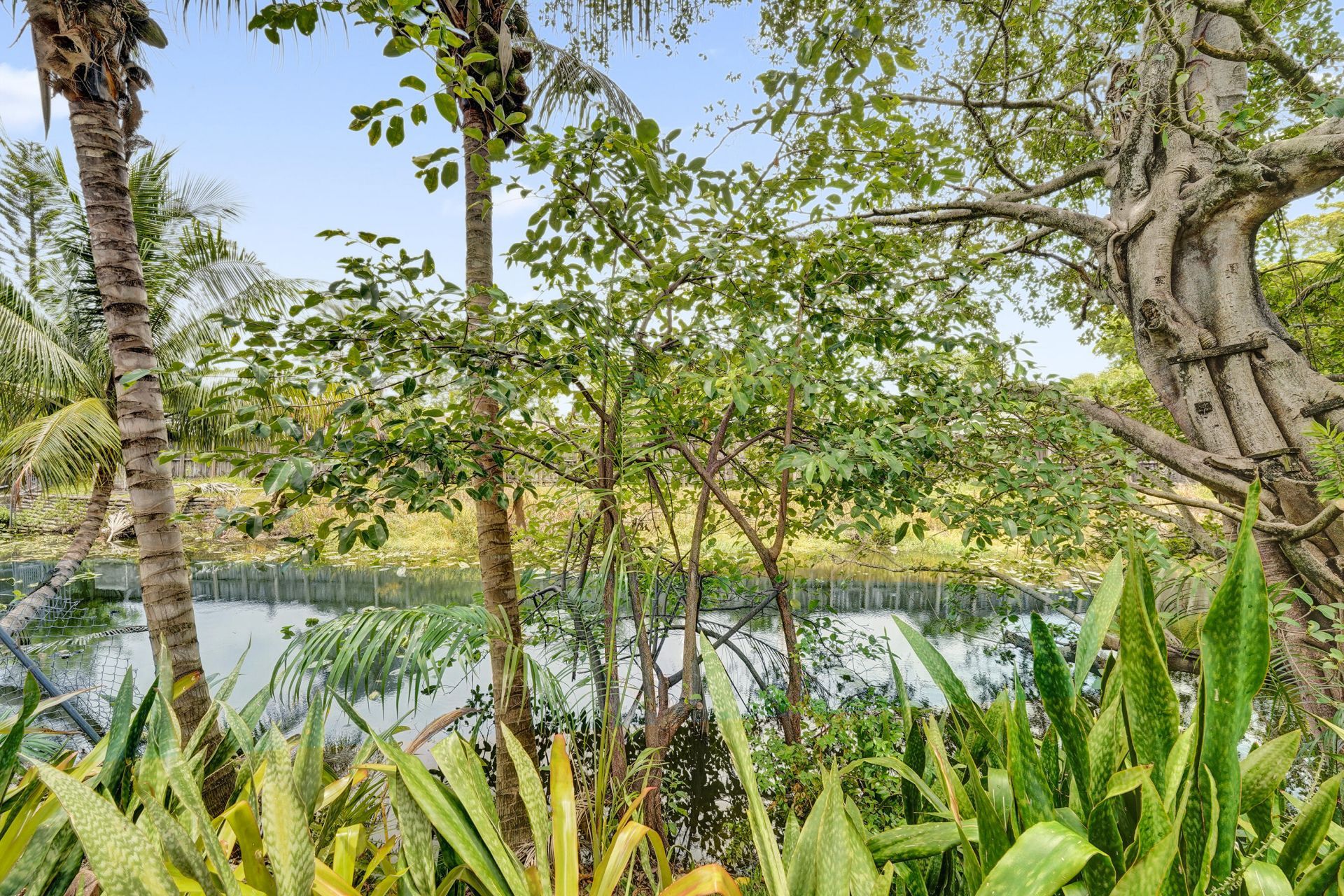 5601 SW 36th Court, Davie, FL 33314 Photo
