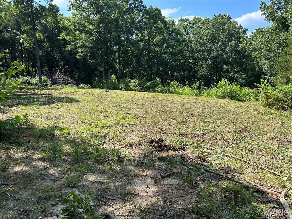 5.8 Acres Dorwood Lane, Sullivan, MO 63080 Main Photo