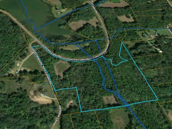 0 Concord Cades Road , Trenton, TN 38382